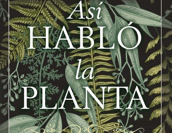 Así habló la planta es un libro de Monica Gagliano